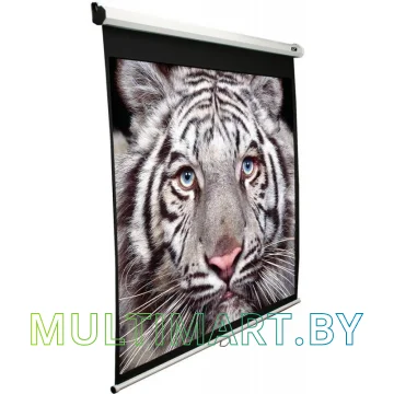 Проекционный экран Elite Screens Manual 170x209 (M100NWV1)